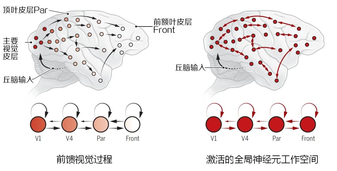 视觉过程